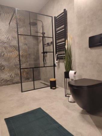 Trzy Kolory Apartment Bielsko-Biała Ngoại thất bức ảnh